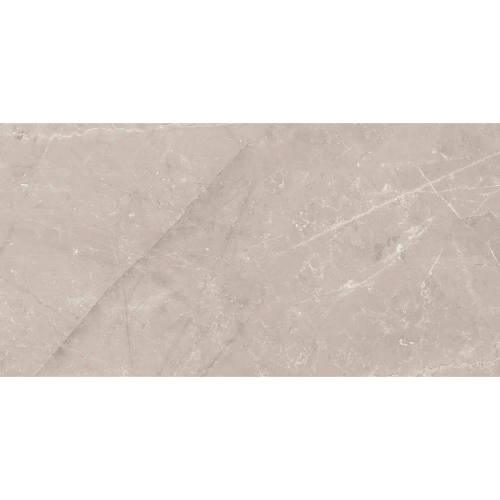 Jewels Etienne Gray Unpolished 24" x 48" R