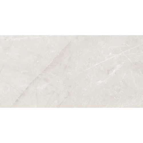 Jewels Etienne Light Gray Polished 24" x 48" R