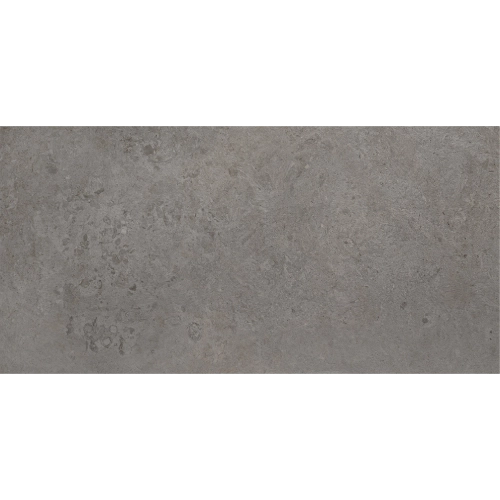 Limestone Vison 12" x 24" R