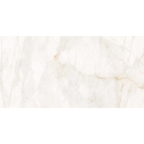 Marble Dolomita White 12" x 24" R