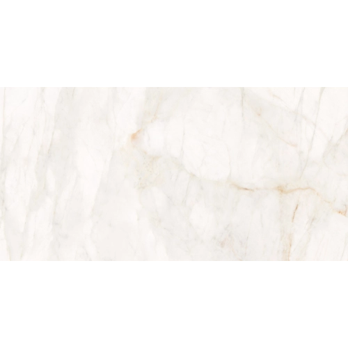 Marble Dolomita White 24" x 48" R