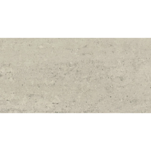 Orion Gris 12" x 24" R Polished