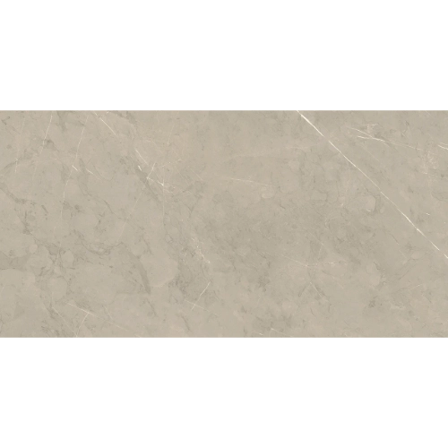 Piasentina Silver Up 12 x 24" R Unpolished