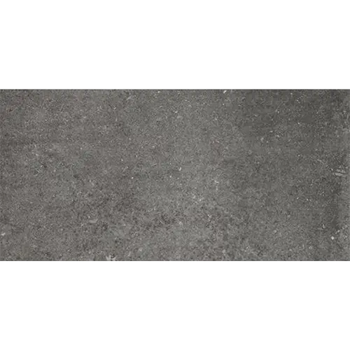 Historic Limestone Matte Legacy 12" x 24"