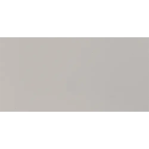 Minimum Matte Light Gray 12" x 24"