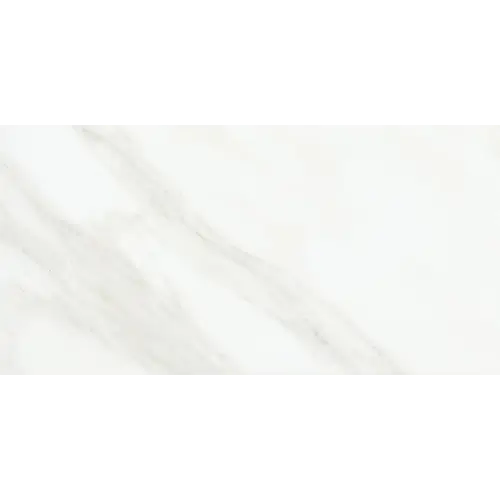 Mirasol Bianco Carrara 12" x 24"