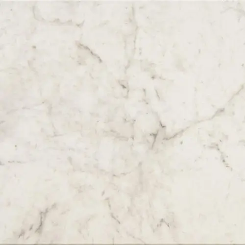 Mythique Marble Polished Altissimo 24" x 24"