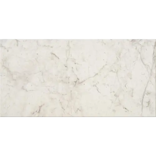 Mythique Marble Altissimo 12" x 24"