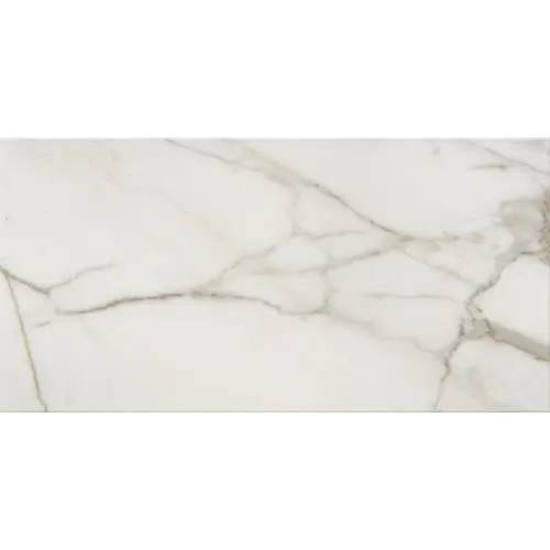 Mythique Marble Calacatta Venecia 12" x 24"
