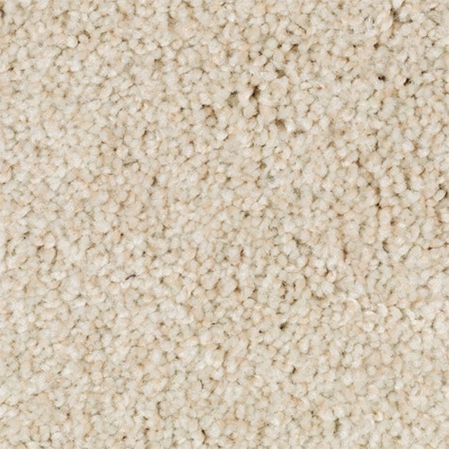 Tonal Chic II