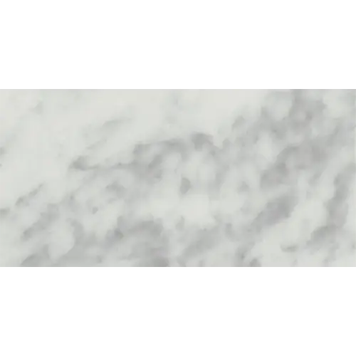 Marble Carrara White 12" x 24"