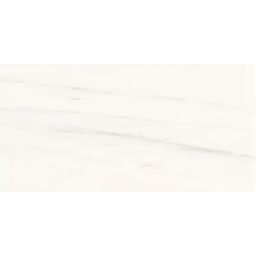 Marble Polished Contempo White 12" x 24"