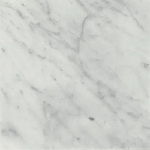 Marble Carrara White 12" x 12"