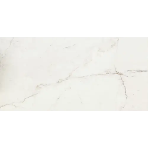 Classentino Marble Palazzo White 12" x 24"