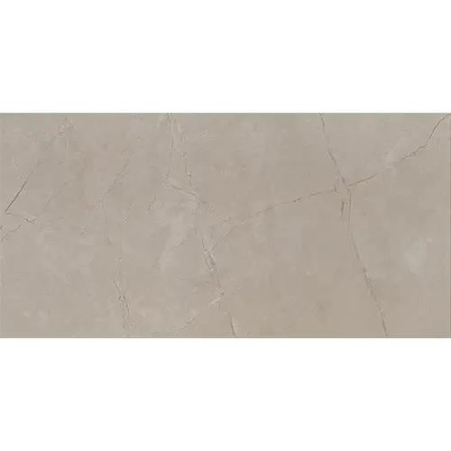 Classentino Marble Polished Coliseum Gray 24" x 48"