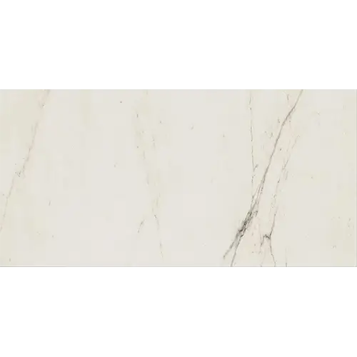 Classentino Marble Polished Palazzo White 12" x 24"