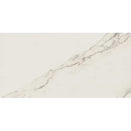 Classentino Marble Polished Palazzo White 24" x 48"