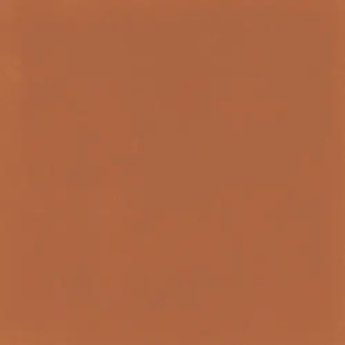 D_Segni Color Tangerine 8" x 8"