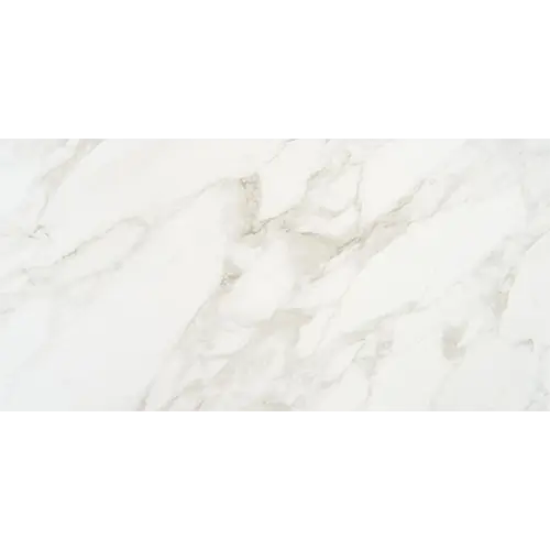Marble Obsession Arabescato 12" x 24"