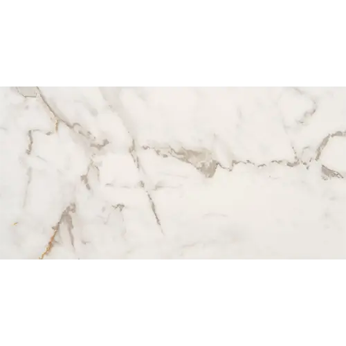 Marble Obsession Calacatta Gold 12" x 24"