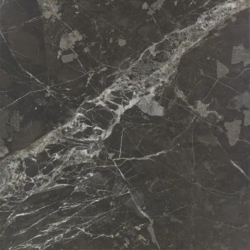 Savoir Noir 24" x 24"