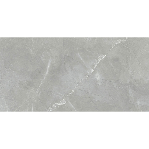 Porcelain tile Renaissance 12x24 in Amani Grey colorway