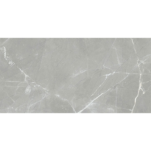 Porcelain tile Renaissance 12x24 in Amani Grey Matte colorway
