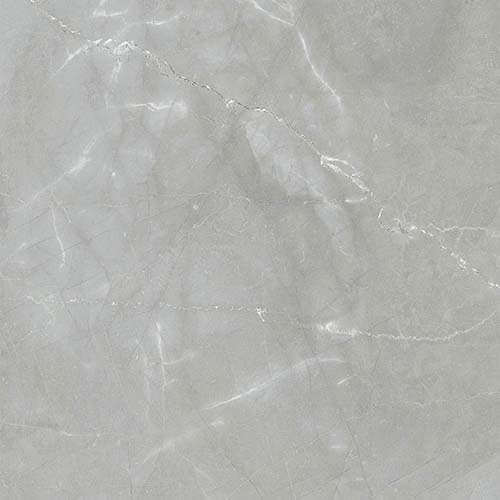 Porcelain tile Renaissance 24x24 in Amani Grey Matte colorway