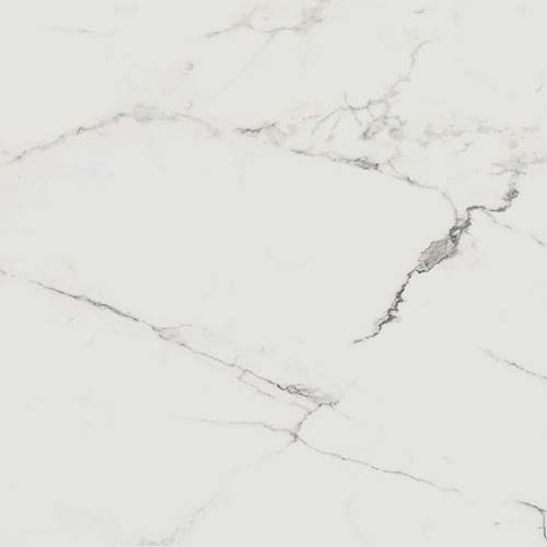Porcelain tile Renaissance 24x24 in Calacatta colorway