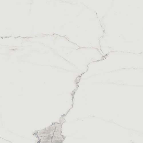 Porcelain tile Renaissance 24x24 in Calacatta Matte colorway