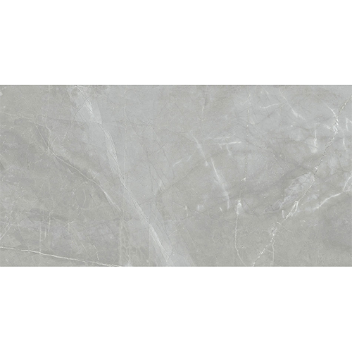 Porcelain tile Renaissance 24x48 in Amani Grey colorway