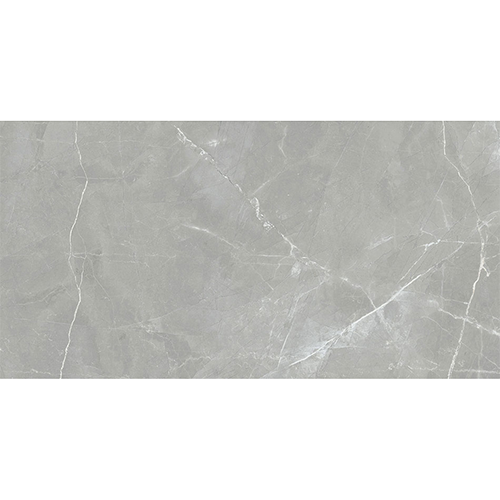 Porcelain tile Renaissance 24x48 in Amani Grey Matte colorway