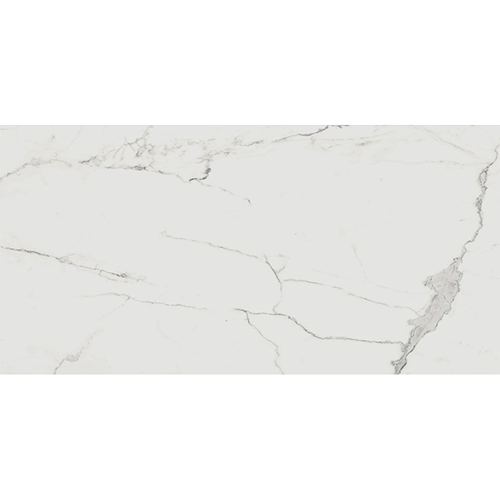 Porcelain tile Renaissance 24x48 in Calacatta colorway