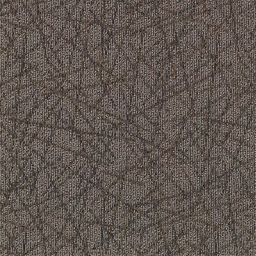 Brilliantly Amazed Tile