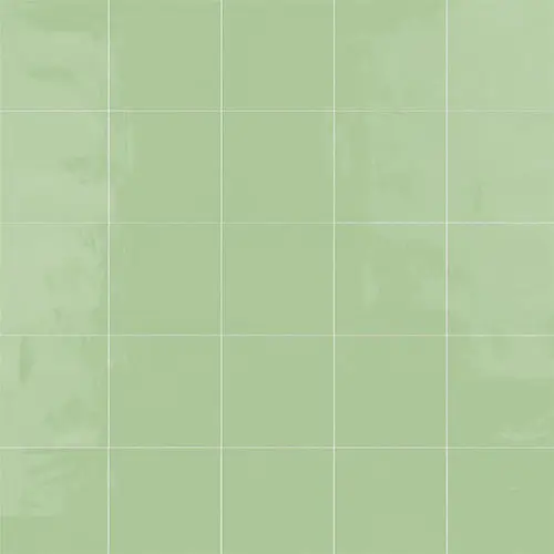 Monocolor Musgo