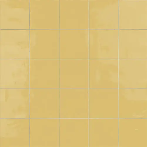 Monocolor Special Limon