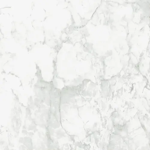 Reve Blanc 23 1/2" x 23 1/2"