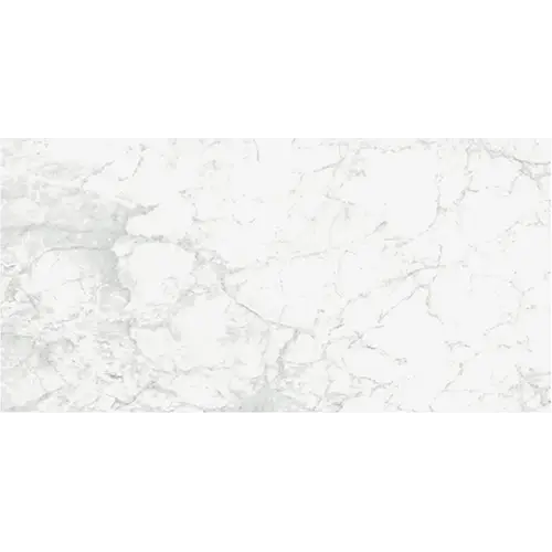 Reve Blanc 23 1/2" x 47 1/8"