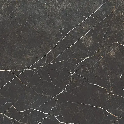 Reve Noir 23 1/2" x 23 1/2"