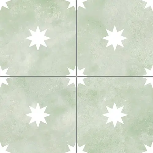 Starlight Sage