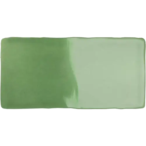 Viva Aloe 3" x 6"